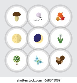 Flat Icon Bio Set Of Floral, Half Moon, Canadian And Other Vector Objects. Also Includes Mushroom, Sky, Tree Elements.