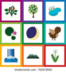 Flat Icon Bio Set Of Floral, Lotus, Tree And Other Vector Objects. Also Includes Lake, Crescent, Pinnacle Elements.