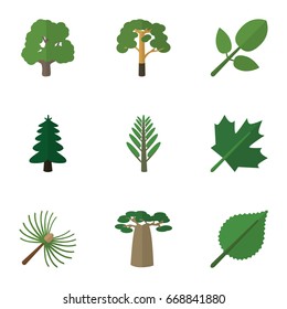 Flat Icon Bio Set Of Foliage, Wood, Jungle And Other Vector Objects. Also Includes Foliage, Linden, Alder Elements.