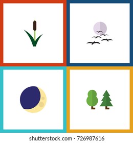 Flat Icon Bio Set Of Gull, Cattail, Half Moon And Other Vector Objects. Also Includes Forest, Moon, Gull Elements.