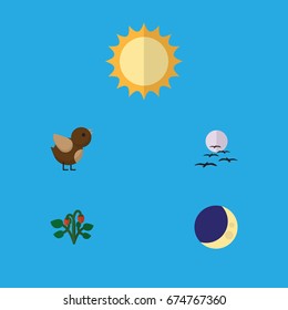 Flat Icon Bio Set Of Half Moon, Gull, Bird And Other Vector Objects. Also Includes Midnight, Sparrow, Strawberry Elements.