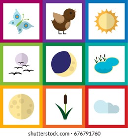 Flat Icon Bio Set Of Half Moon, Cattail, Solar And Other Vector Objects. Also Includes Bird, Sky, Lake Elements.