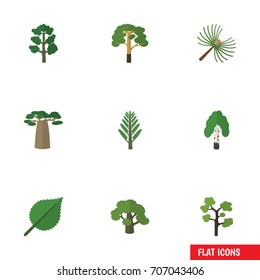 Flat Icon Bio Set Of Jungle, Tree, Linden And Other Vector Objects. Also Includes Forest, Oak, Leaves Elements.