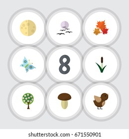Flat Icon Bio Set Of Monarch, Cattail, Tree And Other Vector Objects. Also Includes Cattail, Mushroom, Gull Elements.