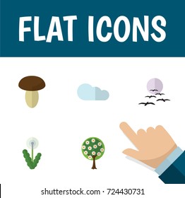 Flat Icon Bio Set Of Overcast, Tree, Floral And Other Vector Objects. Also Includes Flower, Gull, Tree Elements.