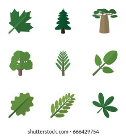 Flat Icon Bio Set Of Park, Maple, Decoration Tree And Other Vector Objects. Also Includes Maple, Alder, Tree Elements.