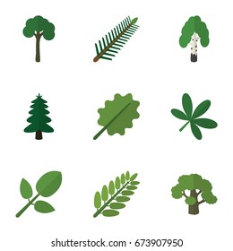 Flat Icon Bio Set Of Park, Maple, Timber And Other Vector Objects. Also Includes Birch, Alder, Rosemary Elements.