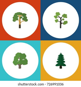 Flat Icon Bio Set Of Park, Wood, Decoration Tree And Other Vector Objects. Also Includes Evergreen, Wood, Timber Elements.