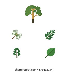 Flat Icon Bio Set Of Rosemary, Wood, Linden And Other Vector Objects. Also Includes Tree, Wood, Acacia Elements.