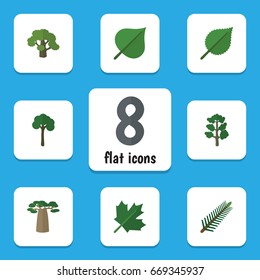 Flat Icon Bio Set Of Tree, Oaken, Spruce Leaves And Other Vector Objects. Also Includes Wood, Maple, Evergreen Elements.