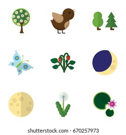 Flat Icon Bio Set Of Tree, Monarch, Half Moon And Other Vector Objects. Also Includes Moth, Garden, Water Elements.