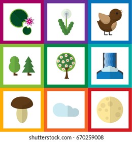 Flat Icon Bio Set Of Tree, Lunar, Forest And Other Vector Objects. Also Includes Champignon, Floral, Mushroom Elements.