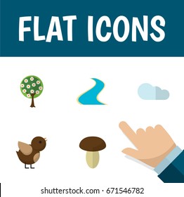 Flat Icon Bio Set Of Tributary, Champignon, Overcast And Other Vector Objects. Also Includes Cloud, Tributary, Fungi Elements.