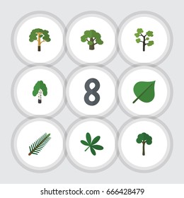 Flat Icon Bio Set Of Wood, Timber, Evergreen And Other Vector Objects. Also Includes Leaves, Evergreen, Hickory Elements.