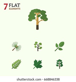Flat Icon Bio Set Of Wood, Forest, Rosemary And Other Vector Objects. Also Includes Forest, Wood, Foliage Elements.