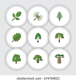 Flat Icon Bio Set Of Wood, Rosemary, Tree And Other Vector Objects. Also Includes Leaves, Rosemary, Oak Elements.