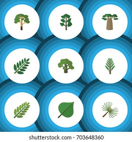 Flat Icon Bio Set Of Wood, Jungle, Baobab And Other Vector Objects. Also Includes Leaf, Tree, Leaves Elements.