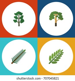Flat Icon Bio Set Of Wood, Leaves, Spruce Leaves And Other Vector Objects. Also Includes Tree, Acacia, Rosemary Elements.
