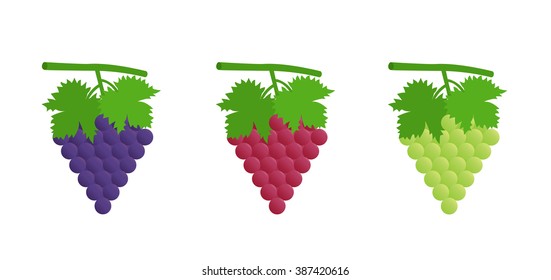Flat icon black, red, green grapes with leaves. Vector illustration.