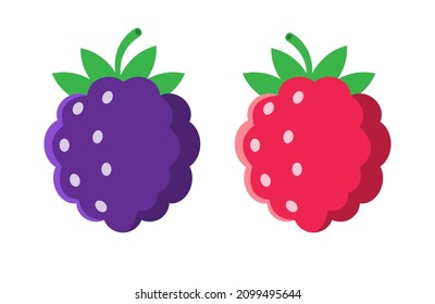 Icono plano del vector gráfico de diseño de mora negra y frambuesa. Fruta fresca orgánica sana.