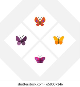 Flat Icon Butterfly Set Of Archippus, Butterfly, Moth And Other Vector Objects. Also Includes Monarch, Butterfly, Moth Elements.