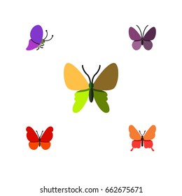 Flat Icon Butterfly Set Of Beauty Fly, Violet Wing, Monarch And Other Vector Objects. Also Includes Milkweed, Butterfly, Monarch Elements.