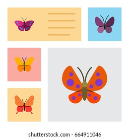Flat Icon Butterfly Set Of Danaus Plexippus, Moth, Butterfly And Other Vector Objects. Also Includes Butterfly, Moth, Insect Elements.