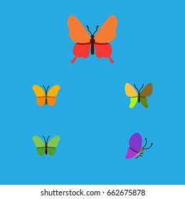 Flat Icon Butterfly Set Of Milkweed, Beauty Fly, Summer Insect And Other Vector Objects. Also Includes Butterfly, Moth, Monarch Elements.