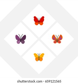 Flat Icon Butterfly Set Of Butterfly, Monarch, Moth And Other Vector Objects. Also Includes Moth, Butterfly, Summer Elements.