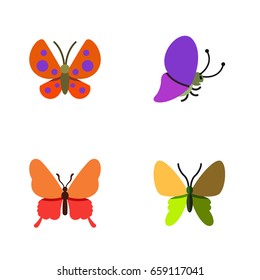 Flat Icon Butterfly Set Of Moth, Summer Insect, Danaus Plexippus And Other Vector Objects. Also Includes Butterfly, Monarch, Moth Elements.