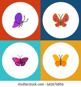Flat Icon Butterfly Set Of Butterfly, Moth, Summer Insect And Other Vector Objects. Also Includes Monarch, Butterfly, Moth Elements.