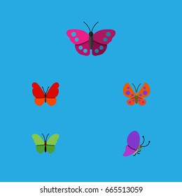 Flat Icon Butterfly Set Of Moth, Monarch, Summer Insect And Other Vector Objects. Also Includes Moth, Milkweed, Butterfly Elements.