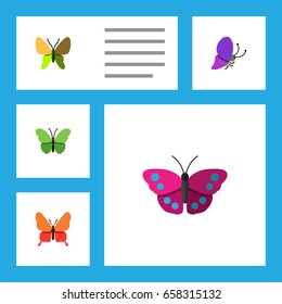 Flat Icon Butterfly Set Of Summer Insect, Milkweed, Danaus Plexippus And Other Vector Objects. Also Includes Monarch, Milkweed, Archippus Elements.