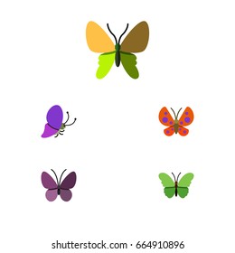 Flat Icon Butterfly Set Of Summer Insect, Milkweed, Violet Wing And Other Vector Objects. Also Includes Insect, Moth, Butterfly Elements.