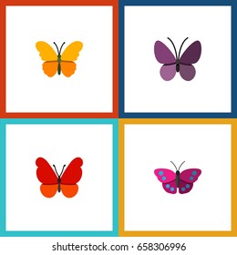 Flat Icon Butterfly Set Of Violet Wing, Butterfly, Archippus And Other Vector Objects. Also Includes Archippus, Butterfly, Milkweed Elements.