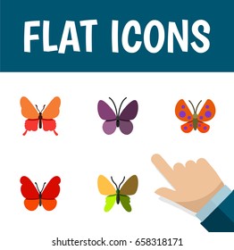 Flat Icon Butterfly Set Of Violet Wing, Moth, Monarch And Other Vector Objects. Also Includes Insect, Monarch, Summer Elements.