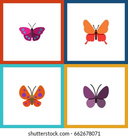 Flat Icon Butterfly Set Of Violet Wing, Moth, Archippus And Other Vector Objects. Also Includes Summer, Archippus, Moth Elements.