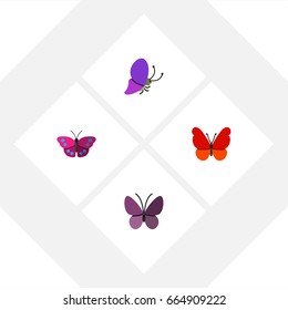 Flat Icon Butterfly Set Of Violet Wing, Monarch, Summer Insect And Other Vector Objects. Also Includes Butterfly, Summer, Monarch Elements.