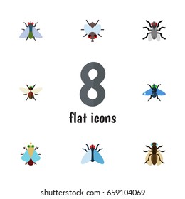 Flat Icon Buzz Set Of Fly, Housefly, Tiny And Other Vector Objects. Also Includes Mosquito, Gnat, Tiny Elements.