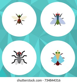 Flat Icon Buzz Set Of Gnat, Fly, Bluebottle And Other Vector Objects. Also Includes Insect, Mosquito, Bluebottle Elements.
