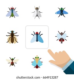 Flat Icon Buzz Set Of Housefly, Dung, Fly And Other Vector Objects. Also Includes Dung, Tiny, Hum Elements.