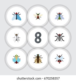 Flat Icon Buzz Set Of Housefly, Mosquito, Fly And Other Vector Objects. Also Includes Gnat, Insect, Dung Elements.