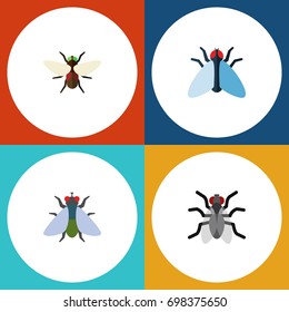 Flat Icon Buzz Set Of Housefly, Gnat, Bluebottle And Other Vector Objects. Also Includes Insect, Housefly, Gnat Elements.