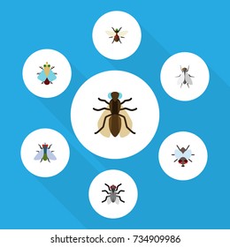 Flat Icon Buzz Set Of Buzz, Hum, Tiny And Other Vector Objects. Also Includes Mosquito, Dung, Bluebottle Elements.