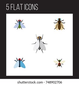 Flat Icon Buzz Set Of Hum, Bluebottle, Mosquito And Other Vector Objects. Also Includes Buzz, Mosquito, Dung Elements.