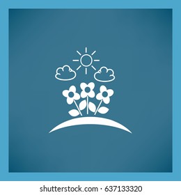 Flat icon. Chamomile flowers in the sun.