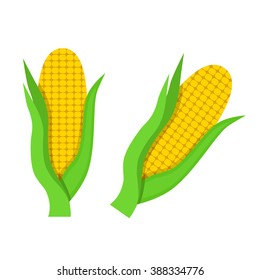 Flat icon corn with green leaves. Vector illustration.