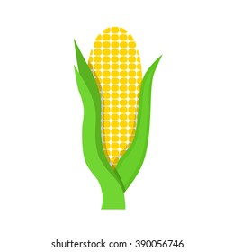 Flat icon corn with green leaves. Vector illustration.