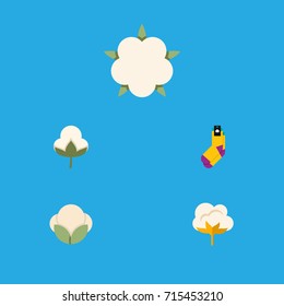 Flat Icon Cotton Set Of Bud, Cotton, Hosiery And Other Vector Objects. Also Includes Cotton, Organic, Flower Elements.