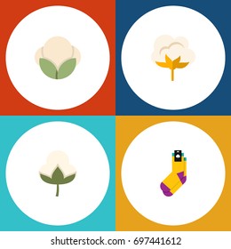 Flat Icon Cotton Set Of Flower, Cotton, Hosiery And Other Vector Objects. Also Includes Fiber, Half-Hose, Cotton Elements.